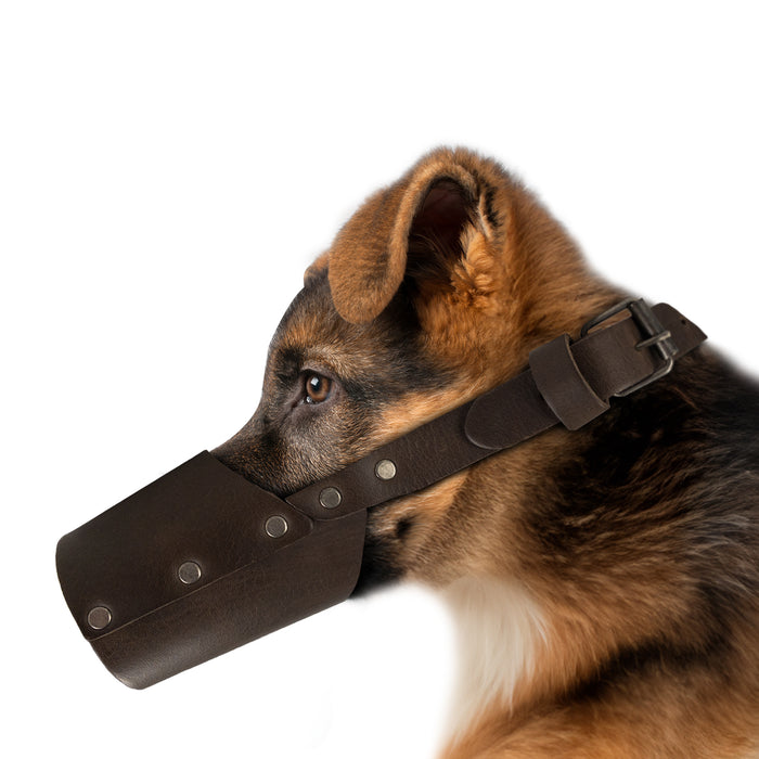 Riveted Dog Muzzle