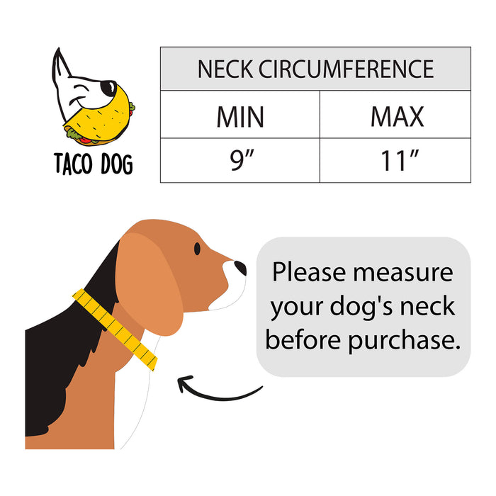 Braided Small Dog Collar