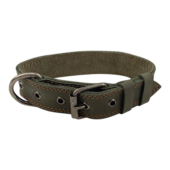 Dog Collar 125 Chewy