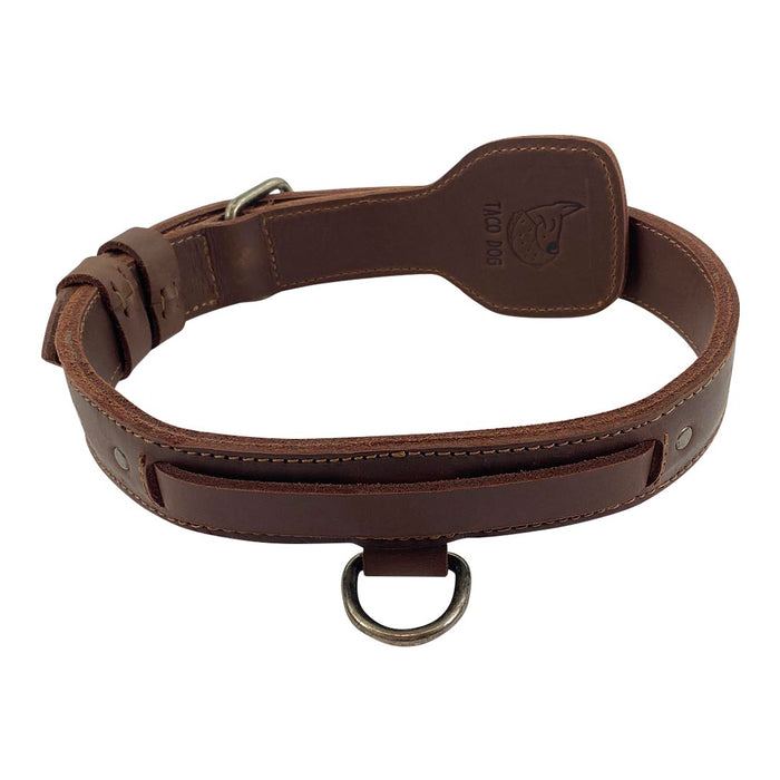 Dog Collar with Handle