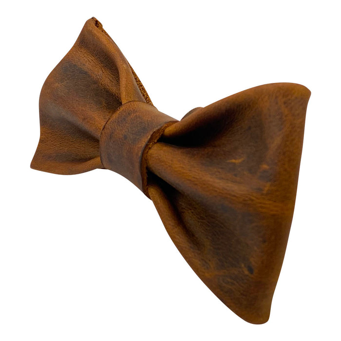 Bow Tie for Dog Collar