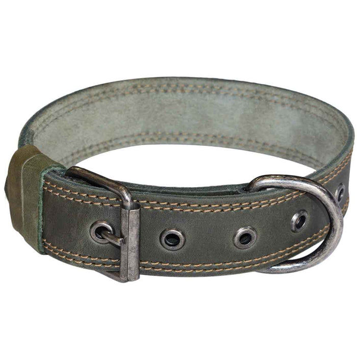 Dog Collar Thick for Small Sized Dogs