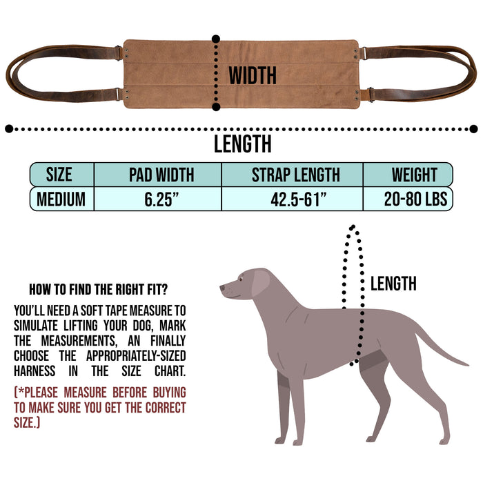 Dog Lift Harness